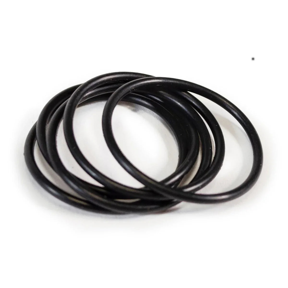 Set of black rubber o-rings on a white background